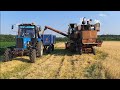 1️⃣8️⃣➕️ 🚔 Мусора і Жнива перемоги🤬 Молотимо дебелий ячмінь🌾🚜