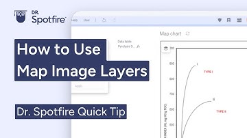 How to use Spotfire Map Image Layer