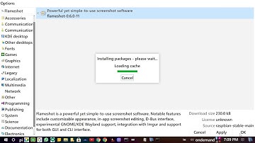 How to take screenshot with Flameshot (The best app to take screenshot) on your Raspberry Pi OS