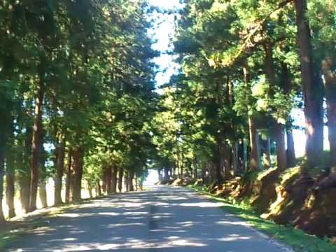 დაბა ოჩხამური