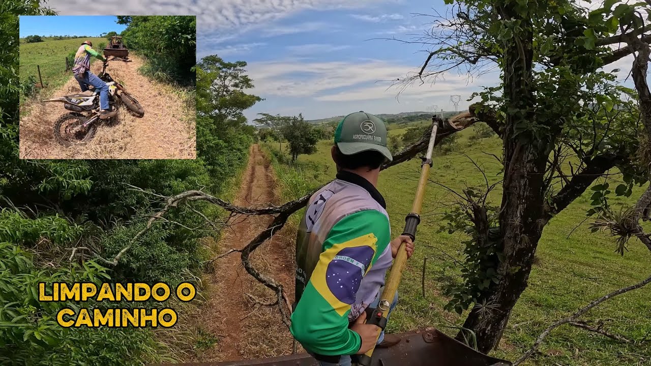 VAMO COMEÇAR A COLHEITA E PLANTIO 