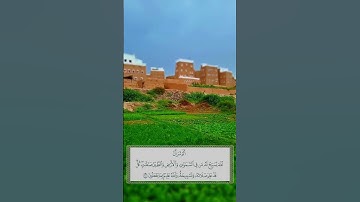 قرآن كريم #قران_كريم #quran #قرآن