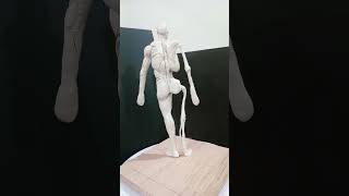 sistema muscular y óseo