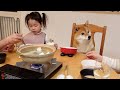 一緒に食卓を囲んだら柴犬の「おかわり頂戴」がかわい過ぎた