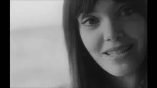 Matt Elliott - Flowers For Bea