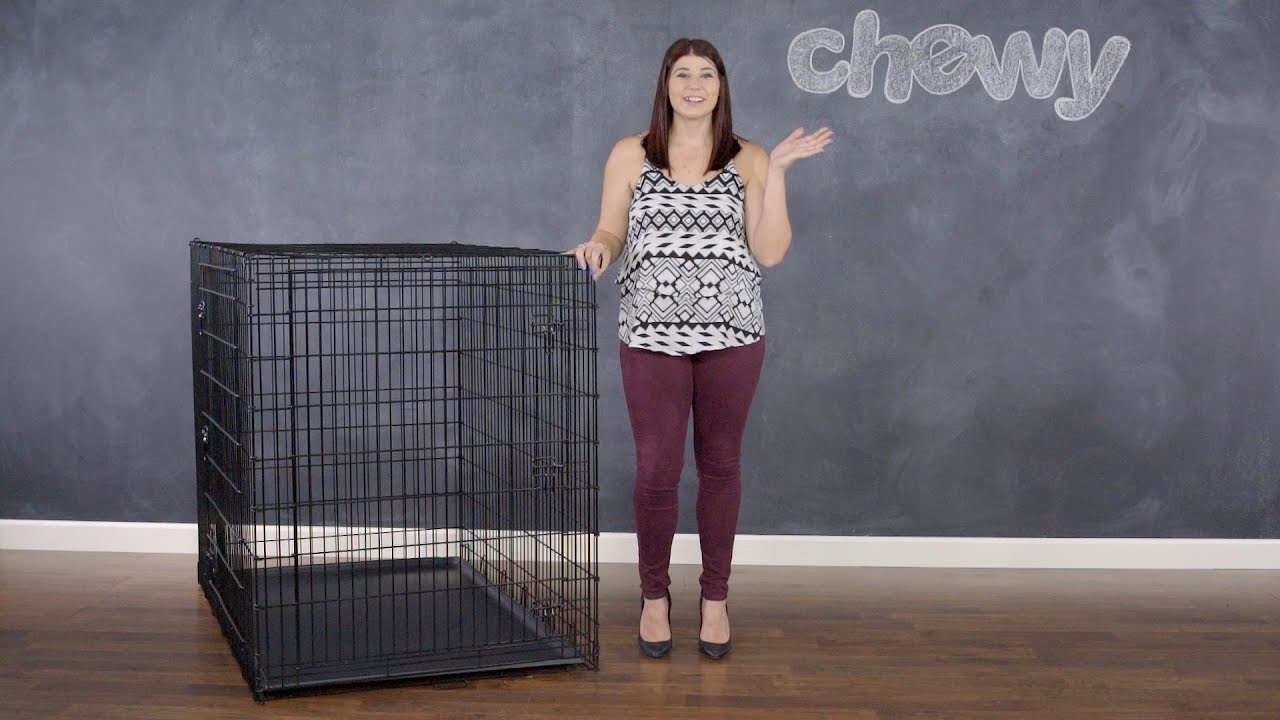 chewy dog kennel