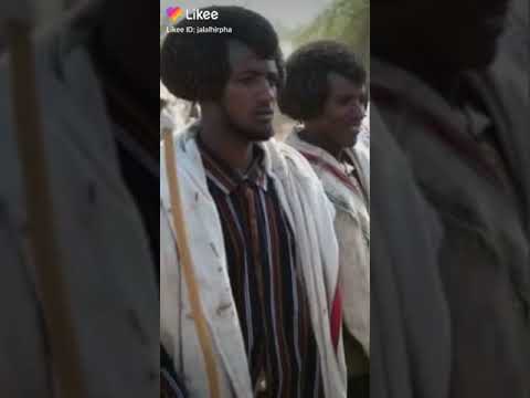 Karrayyu Man With His Gunfura Traditional Hairstyle In Gadaa In Ethiopia