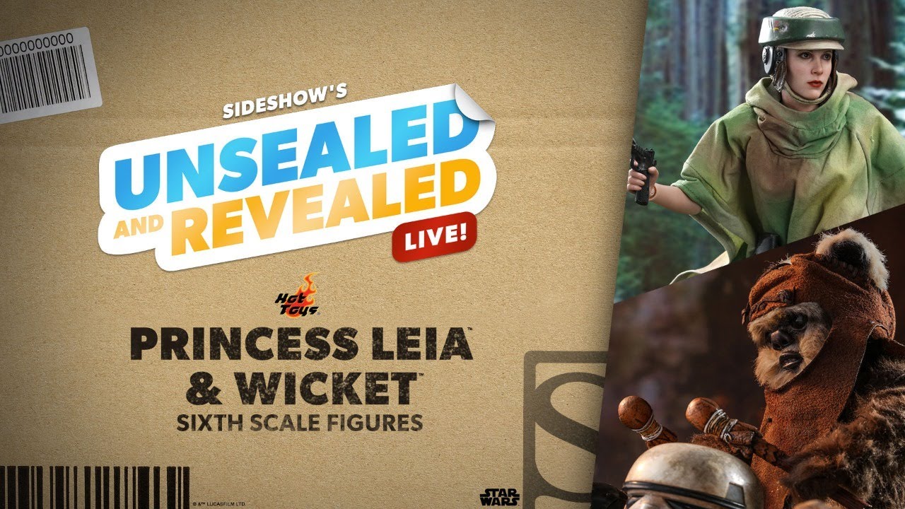 HOTTOYs•STARWARS[LUKE＆(Leia•Head)]最終値下げ HOTTOYs•STARWARS[LUKE＆(Leia•Head)]最終値下げ