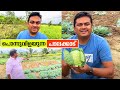 Organic Farming in Palakkad - പൊന്നുവിളയുന്ന പാലക്കാട്