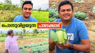 Organic Farming in Palakkad  പൊന്നുവിളയുന്ന പാലക്കാട്