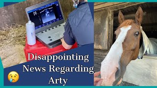 MY HORSE IS INJURED |HORSE SUSPENSORY INJURY |EQUESTRIAN VET