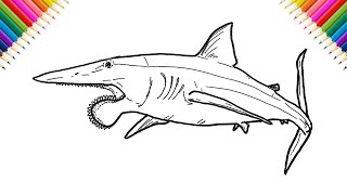 How to Draw a Helicoprion Step by Step