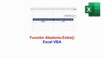 Función Aleatorio.Entre VBA