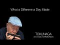 【What a Differene a Day Made】ーーCHROMATIC HARMONICA(Tokunaga Sound)