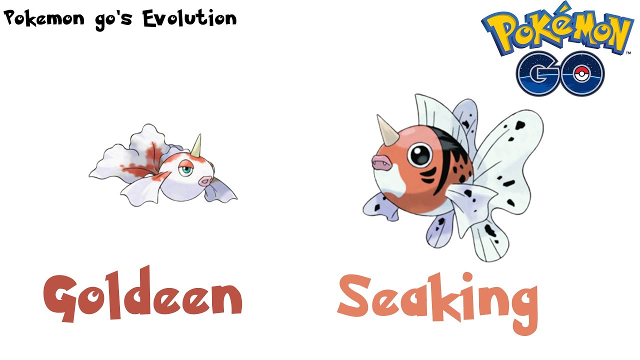 Seaking Evolution
