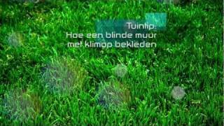 interval snoeiwerken klimop 20090206
