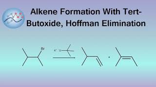 Alkene Formation With Tert-Butoxide, Hoffmann Elimination Mechanism | Organic Chemistry