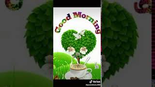 WA VID 20191226 05e0e218