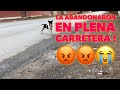 Tu que harías? intentamos Rescatar a esta Perrita que tiraron y abandonaron plena en carretera !!