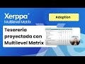 Transforma tu tesorería proyectada con Multilevel Matrix