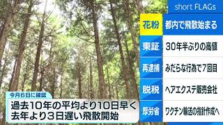 東京でスギ花粉の飛散が始まる