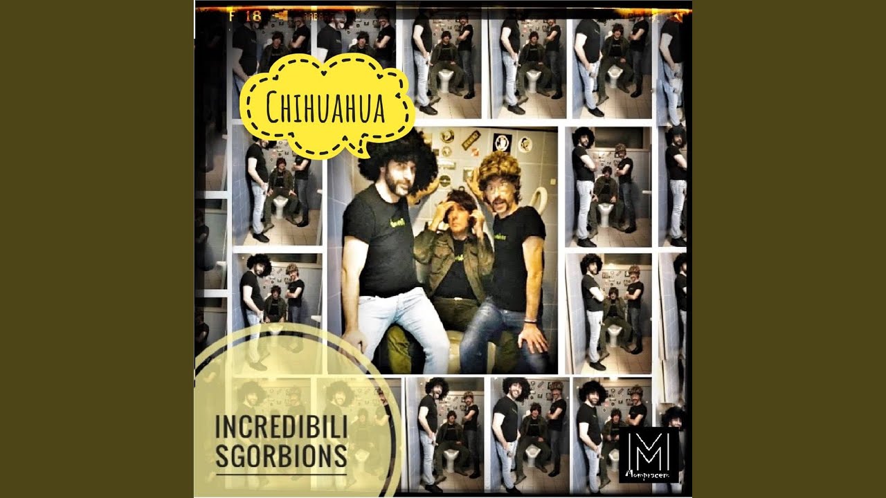 YouTube पर Chihauhua देखें YouTube पर Chihauhua देखें
