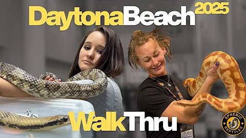 Daytona Reptile Expo 2025 | What Breeders DON’T Show You Online 🐍✨