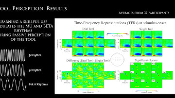 Brain rhythms involved in the perception and selection of tool use - EEG, VR and Unity