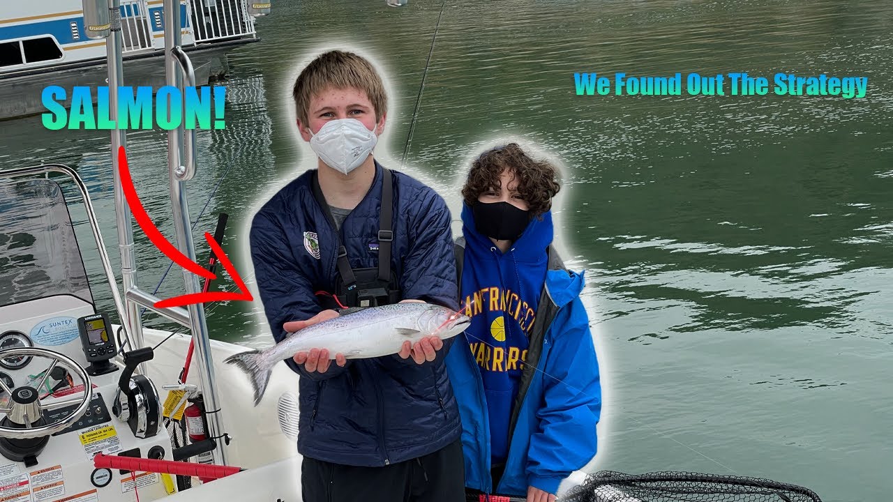 Fishing With Live Shad | Fishing At Lake Berryessa!