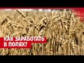 Сколько получают агрономы? Рассказываем, кем быть через 10 лет