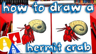 How To Draw A Hermit Crab