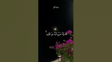 قيل لها ادخلي الصرح #هيثم_الدخين #سورة_النمل #تلاوة_خاشعة #القرآن_الكريم #القران_بصوت_جميل