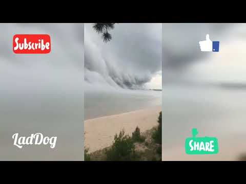 Shelf cloud sucks