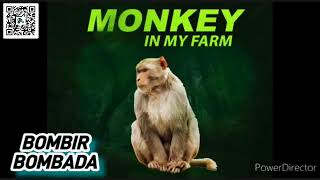 ON MENGBE KERING TV DOKUTUMO SPONSORED BY RATVILLE FARM