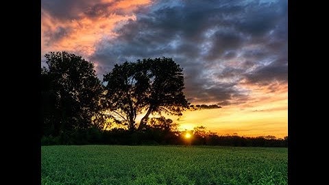 Painting Color Class 4 part 2 painting demonstration