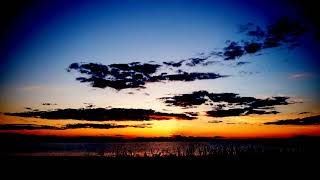 Şiir Bir Dost Bul Kendine