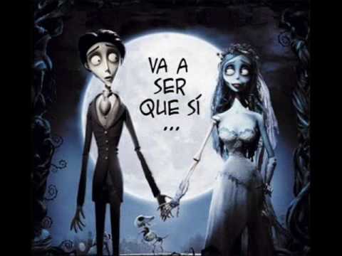 Infinito - Bonka