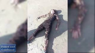 30+ Funny Beach Fails That Will Make You Laugh