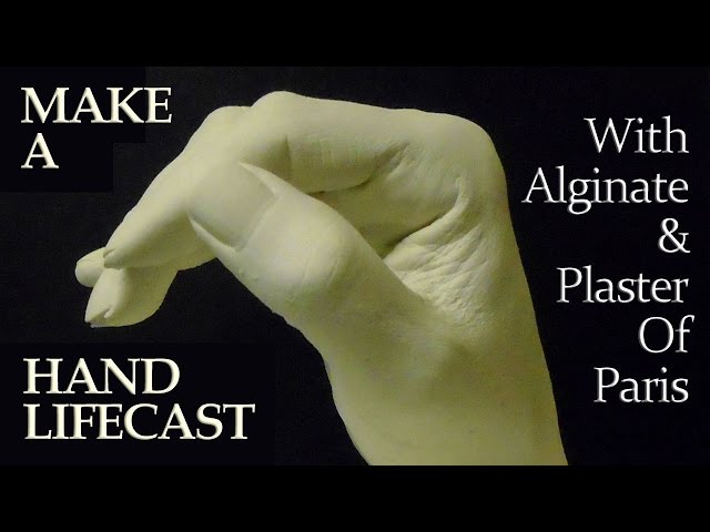 27 Alginate powder ideas  it cast, mold making, paris crafts