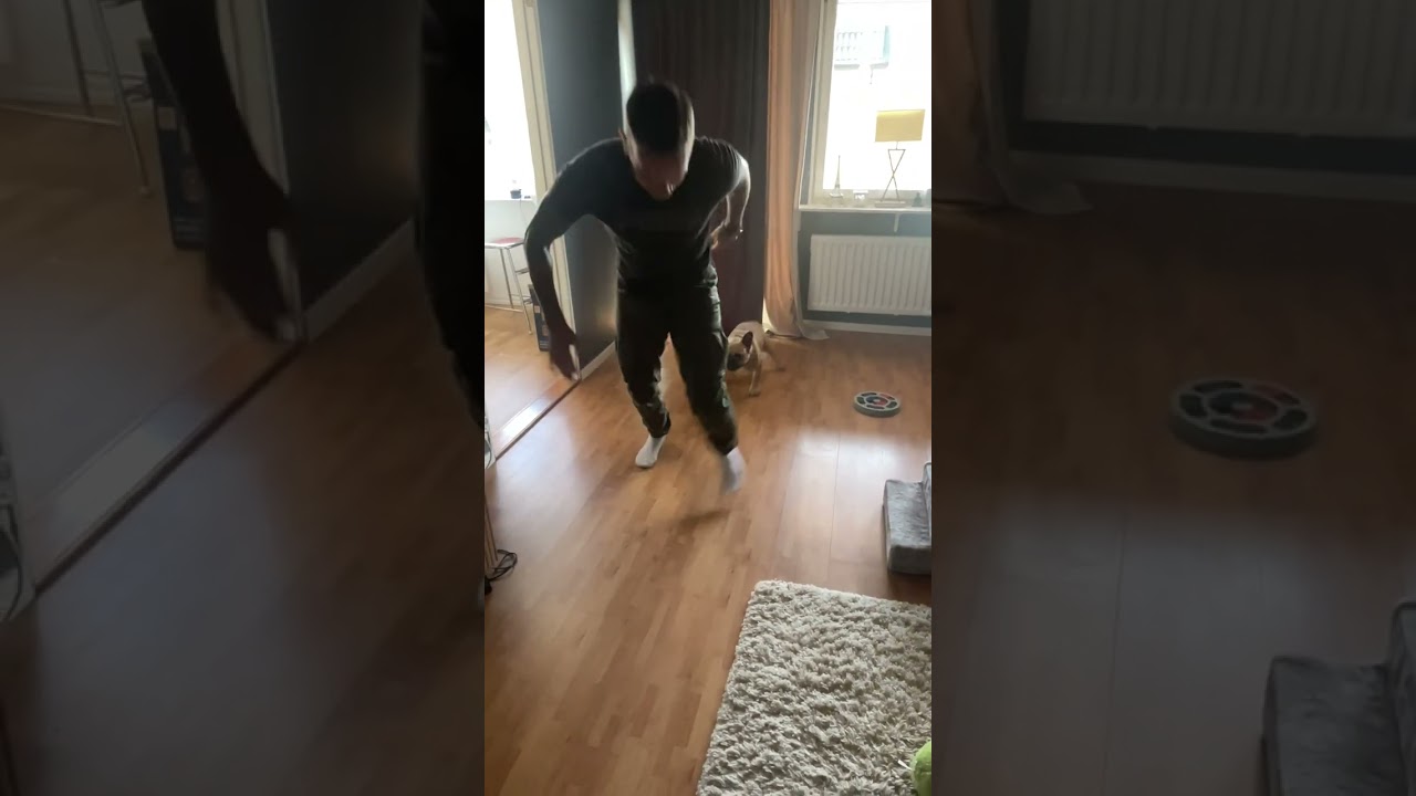 Dog Slips While Running After Owner on Slippery Floor