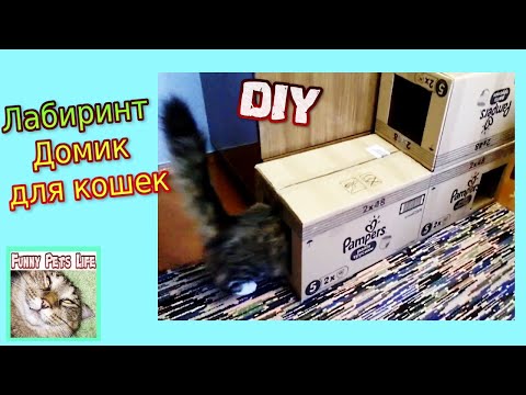 Как сделать своими руками туннель для кошки