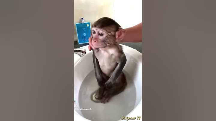 ￼monkey baby 😂 #humor #comedia  suscríbete a nuestro canal 🙏🏼