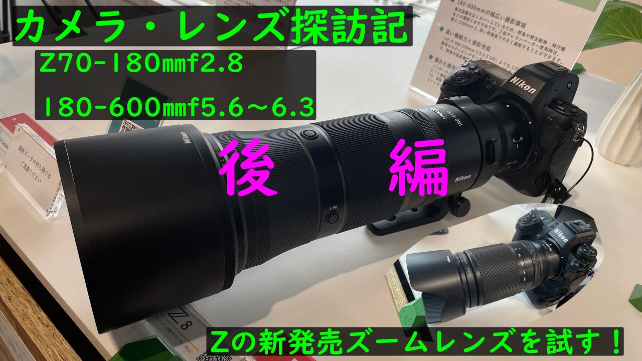 Nikon 600mm  f5.6 2テレコン付き