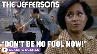 George Is Dogsitting The Jeffersons