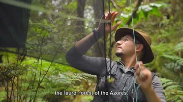 CE3C at the Azorean Islands