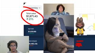 okay we are lowkey making progress a bit (Using Native Image Ads & AI Video)