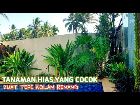 Video: Taman Tepi Kolam - Apakah Beberapa Tumbuhan Tepi Kolam