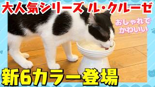 ルクルーゼ ゴースト 幽霊 プレート 36cm ベイパー Better than the price!] Introducing 