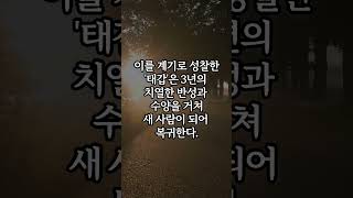 당신을 망치는 건 단 하나! #망한 인생 #회복 #긍정의말 #나를 바꾸고 싶다면 #1퍼센트의 가능성 #운명을 바꾸는 순간 #성공비결 #무서운 습관