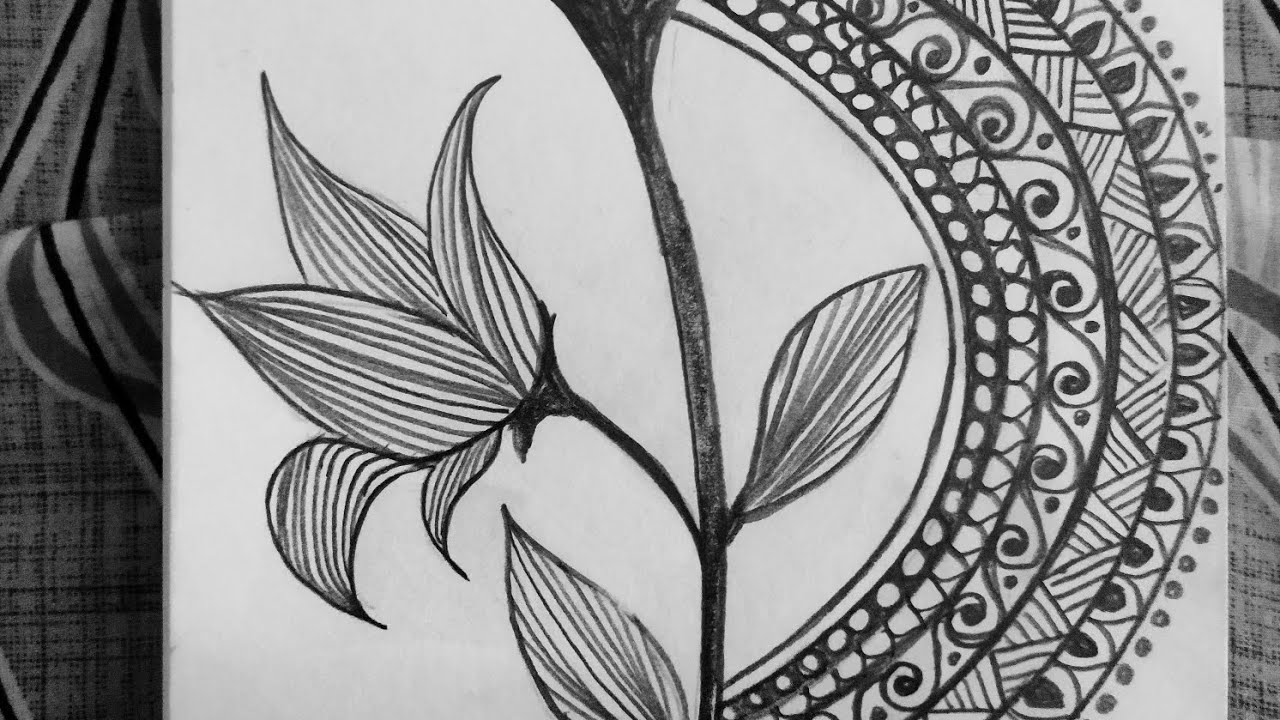 Sketching Flower Mandala in easy way but hard work.#sketch #music #love #flowers #mandala 